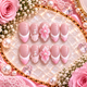Pink Pearl Seashell